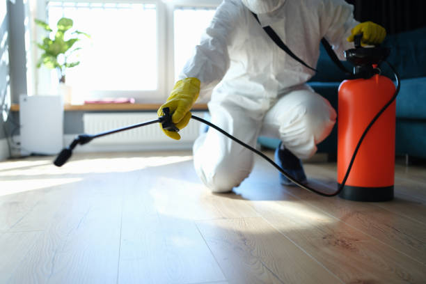 Reliable Hoarding Cleanup contractor in College Park, MD by Dulley Family Biohazard Services